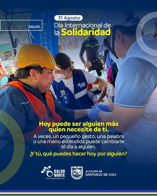 Día de la Solidaridad: pequeños gestos que también cuidan